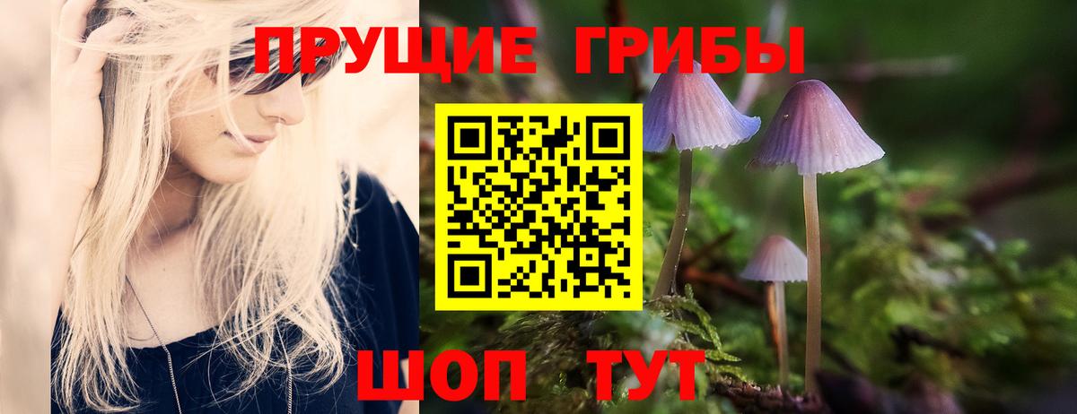 Галлюциногенные грибы Cubensis  закладка  Вход с VPN  Партизанск  Галлюциногенные грибы прущие грибы 